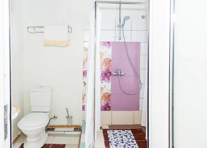 Guest house De Rishelye Odesa